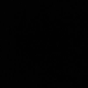 Meet your Posher, Allie